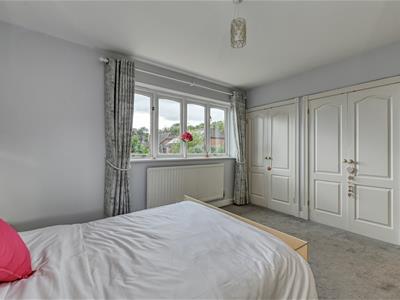 Picture 21